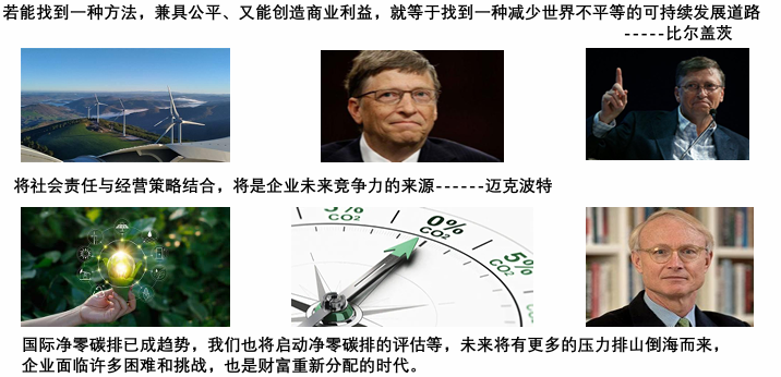 平衡净零经济
